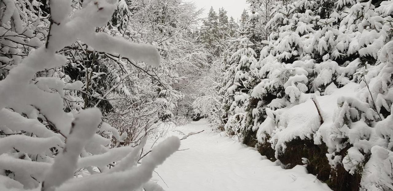 Podskali Adrspach Teplice nad Metují Εξωτερικό φωτογραφία